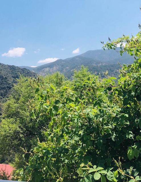 Galaria House Villa Moutoullas Dış mekan fotoğraf