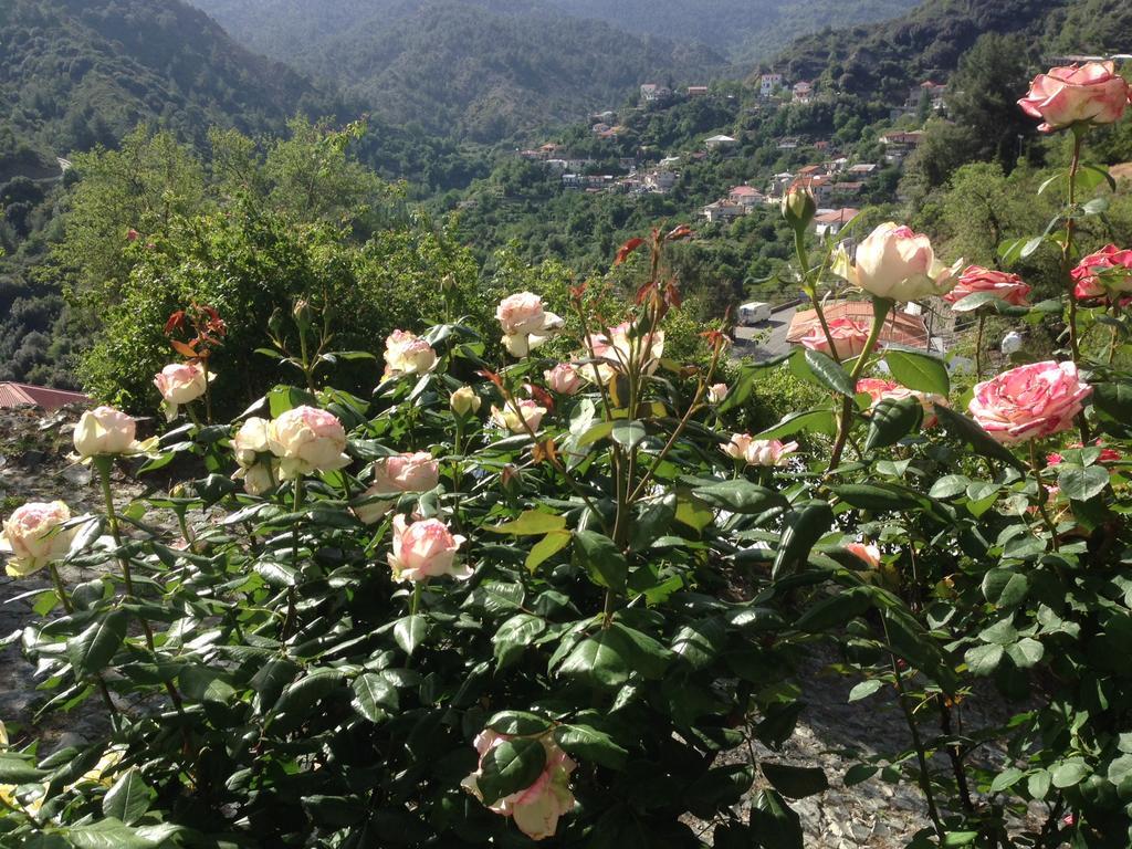 Galaria House Villa Moutoullas Dış mekan fotoğraf