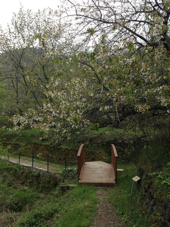 Galaria House Villa Moutoullas Dış mekan fotoğraf